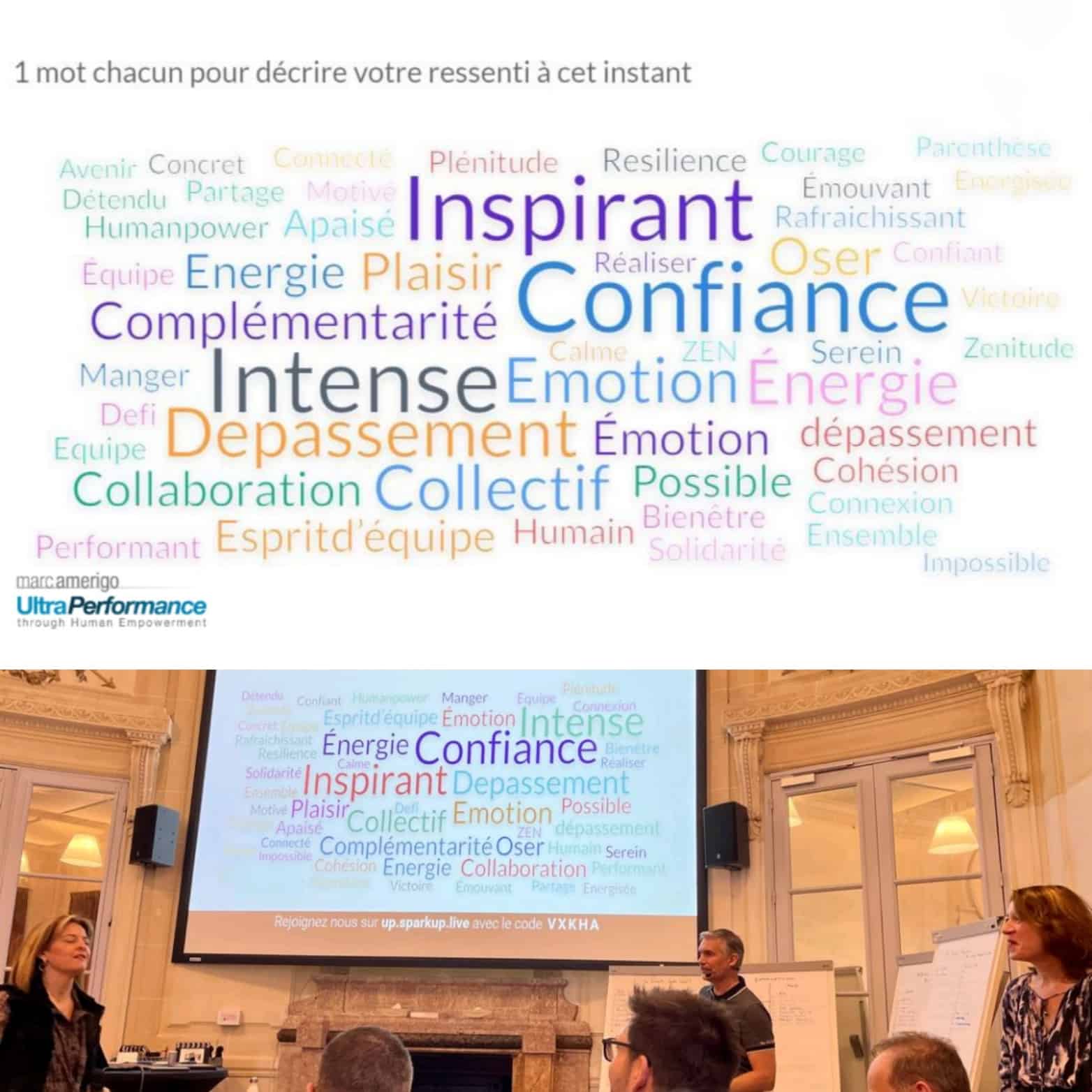 Nuage de mots post conférence de Marc Amerigo en 2023